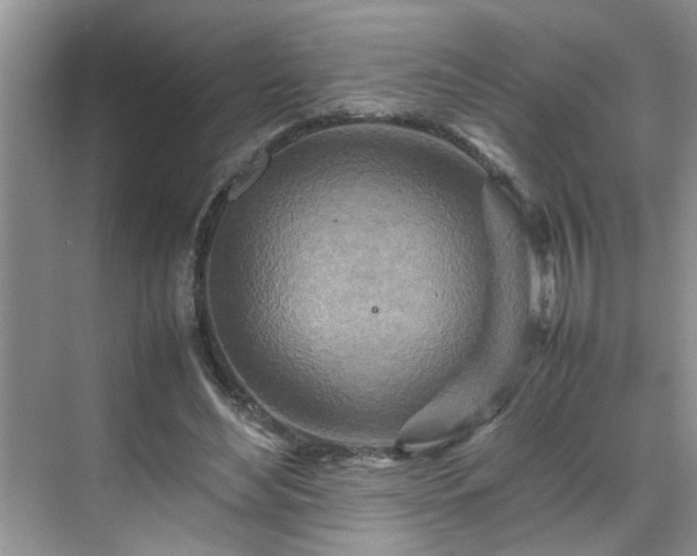 X0000070430492200606161508