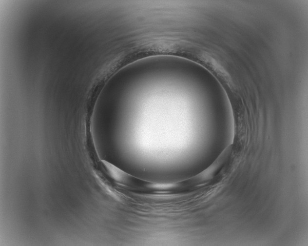 X0000070430493200606161508