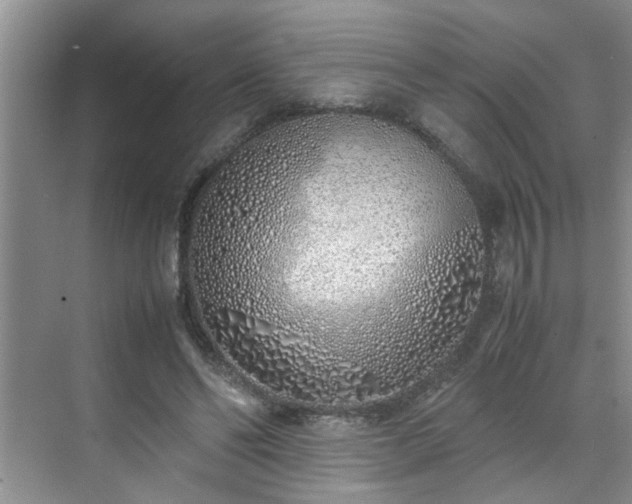 X0000070430494200606161508