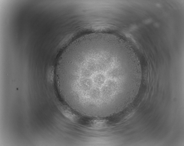 X0000070430495200606161508