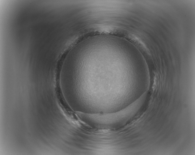 X0000070430496200606161508