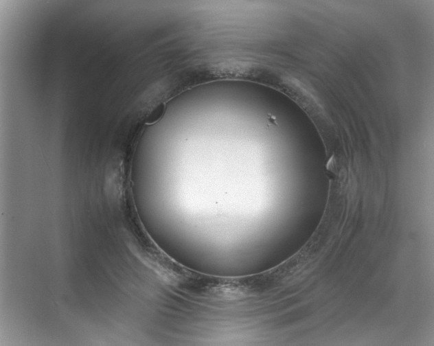 X0000070430498200606161508