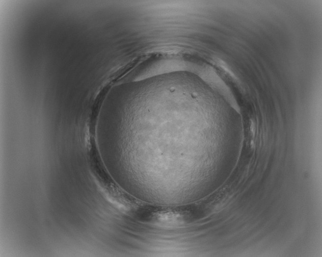 X0000070430500200606161508