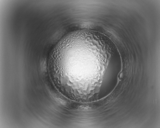 X0000070430502200606161507