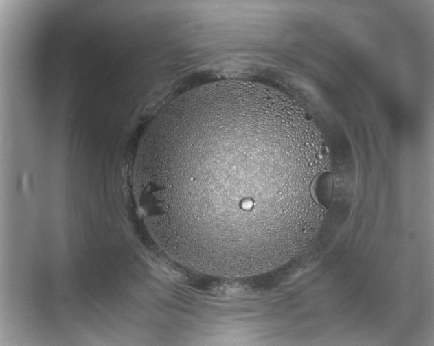 X0000070430503200606161507