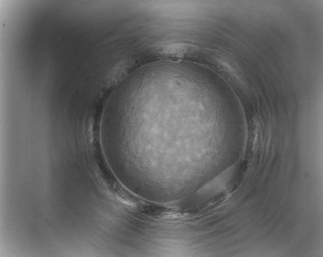 X0000070430504200606161507