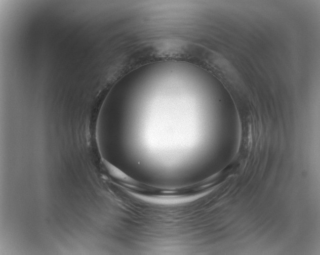 X0000070430508200606161507