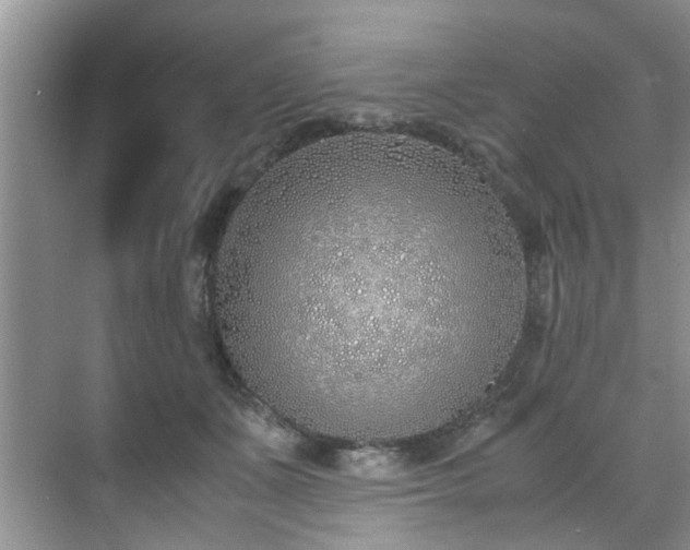 X0000070430511200606161507