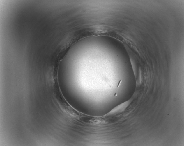 X0000070430512200606161507