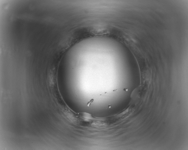 X0000070430515200606161507