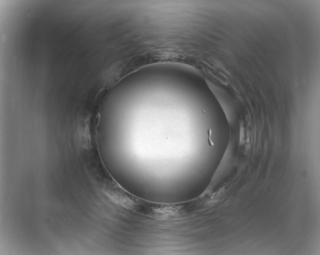 X0000070430516200606161507