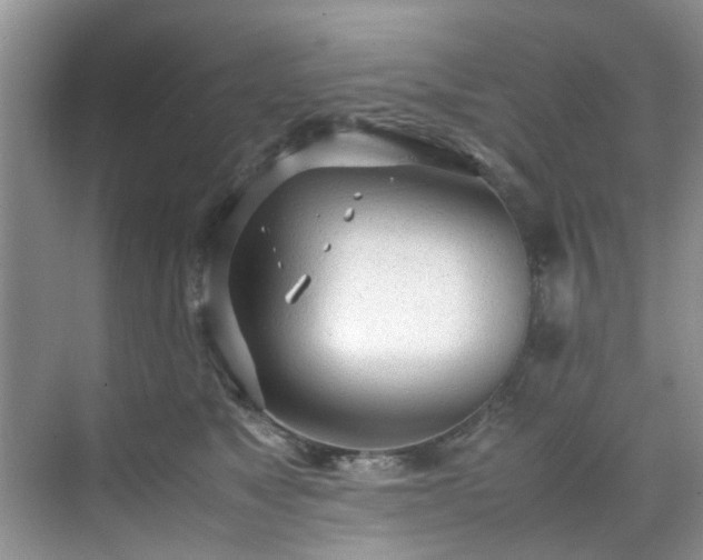 X0000070430517200606161507