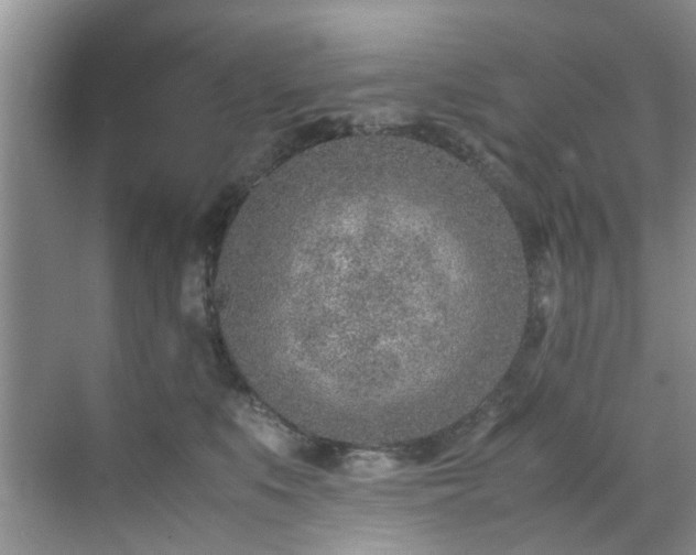 X0000070430519200606161507