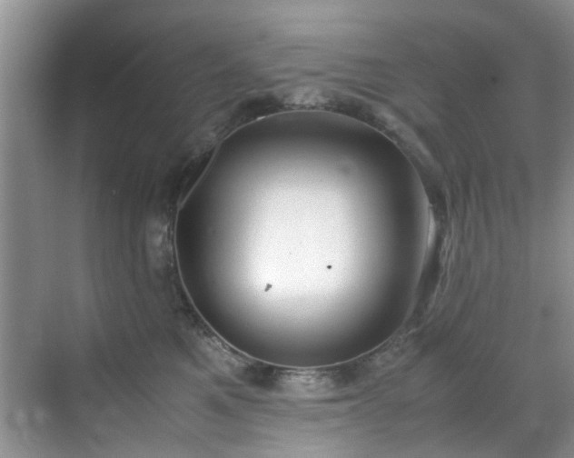 X0000070430521200606161507