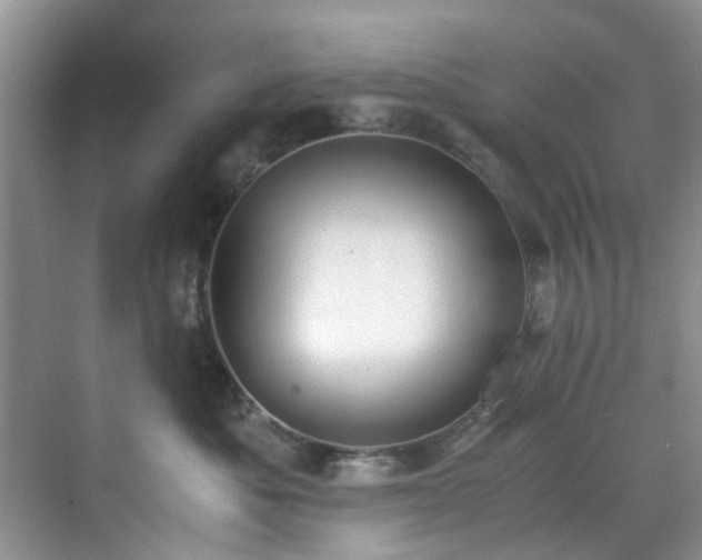 X0000070430525200606161507