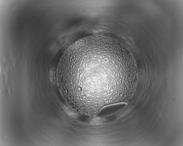 X0000070430527200606161507