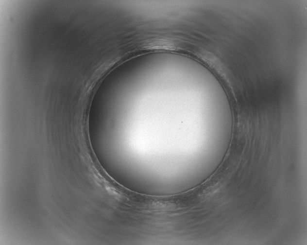 X0000070430529200606161506