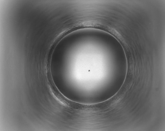 X0000070430530200606161506