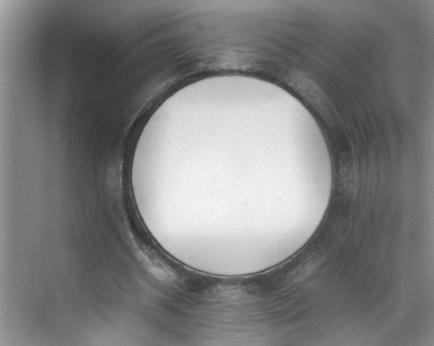 X0000070430534200606161506