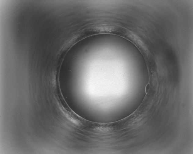 X0000070430537200606161506