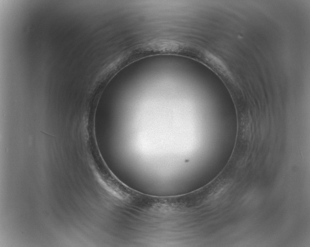 X0000070430538200606161506