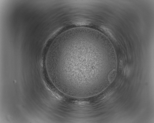 X0000070430539200606161506