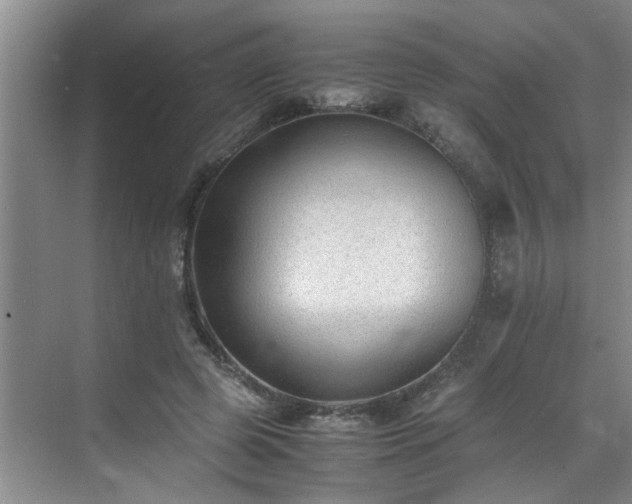 X0000070430545200606161507