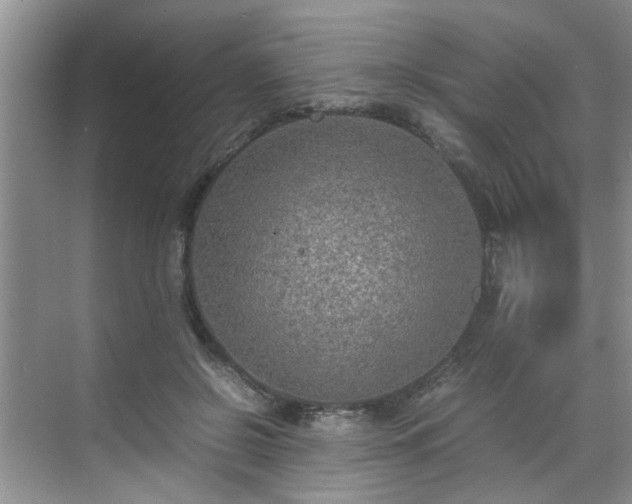 X0000070430550200606161507