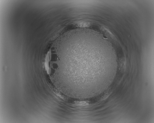 X0000070430553200606161507