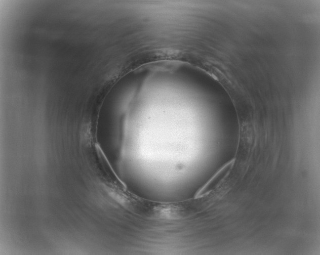 X0000070430564200606161507