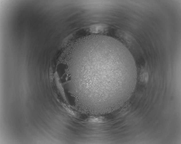 X0000070430569200606161507