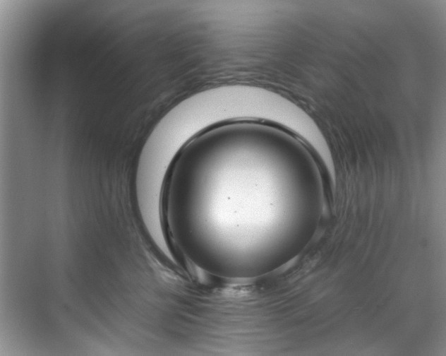 X0000070430570200606161507