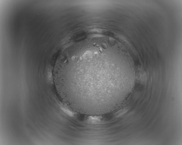 X0000070430573200606161507