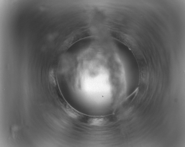 X0000070430575200606161507