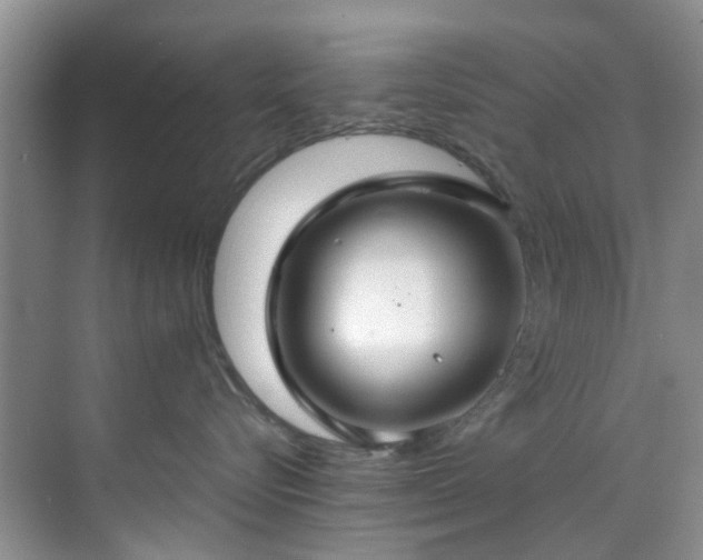 X0000070430576200606161507