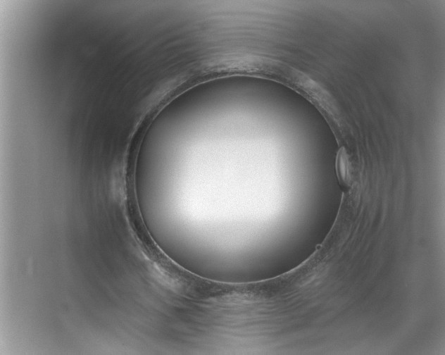 X0000070430578200606161506