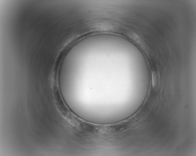 X0000070430579200606161506