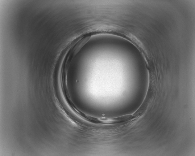 X0000070430581200606161506