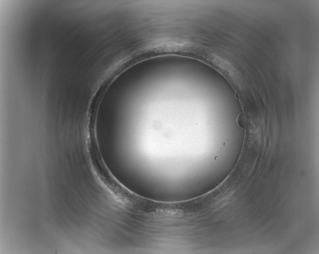 X0000070430582200606161506