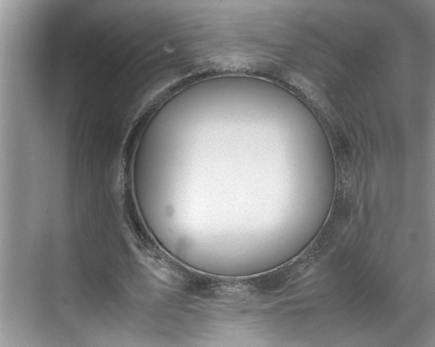 X0000070430583200606161506