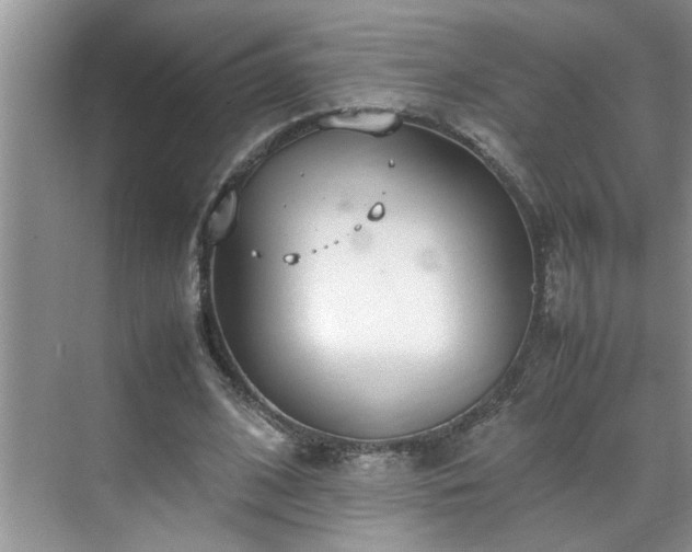 X0000070430584200606161506