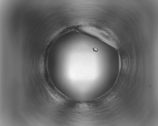 X0000070430588200606161506