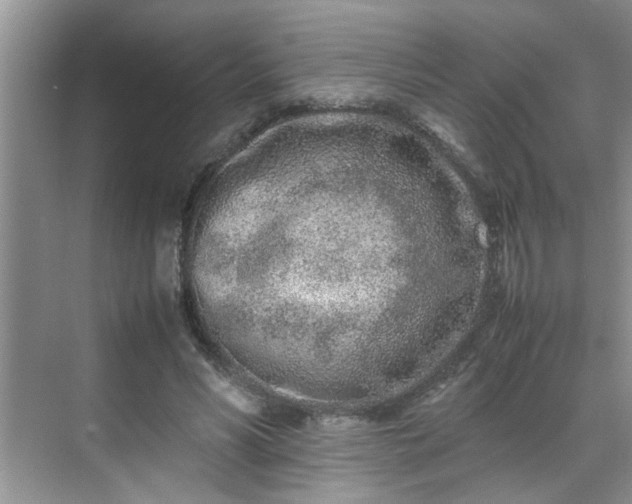 X0000070430590200606161506