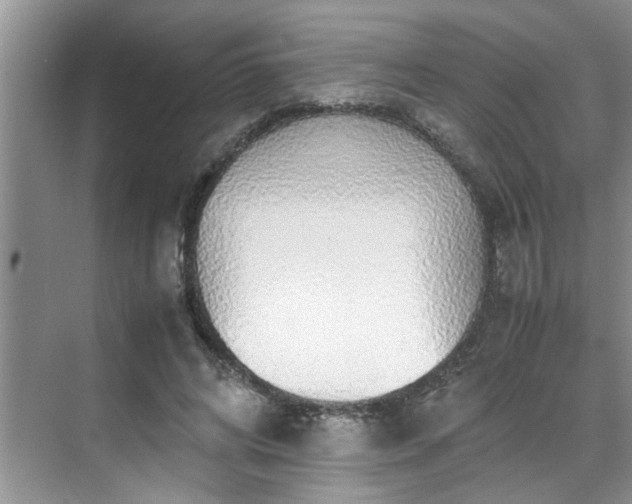 X0000070430592200606161506