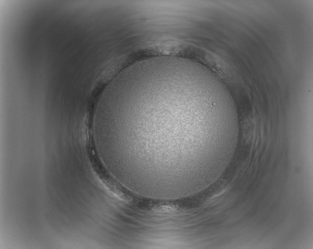 X0000070430594200606161506