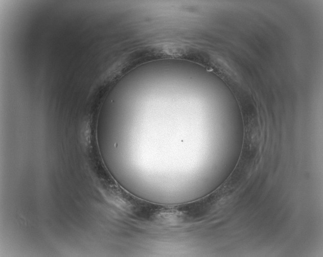 X0000070430595200606161506