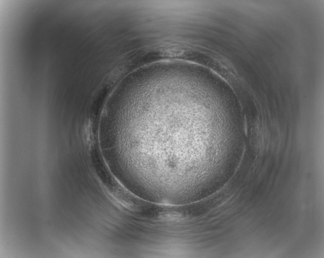 X0000070430598200606161506