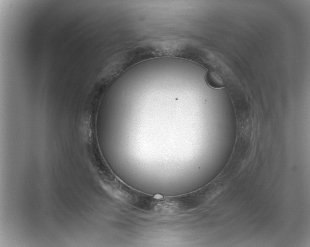 X0000070430599200606161506