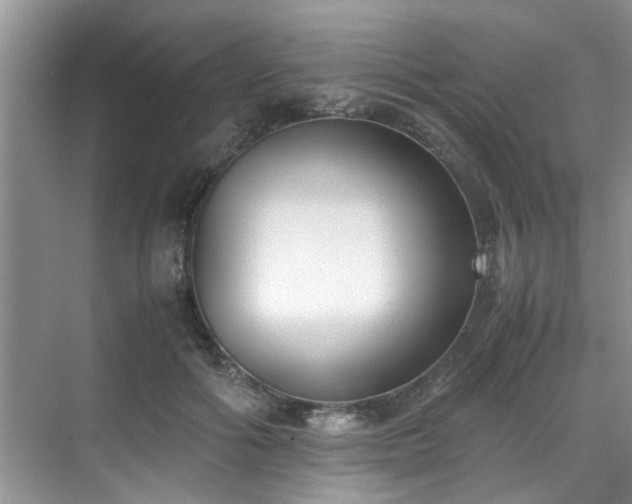 X0000070430602200606161506