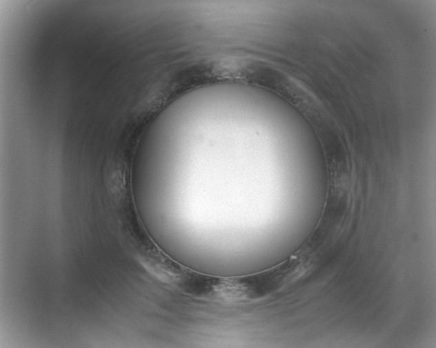 X0000070430603200606161506